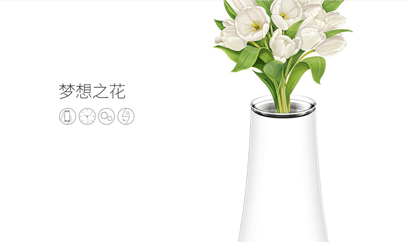 夢想之花1