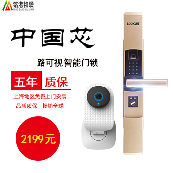 經濟版智能指紋密碼門鎖套餐