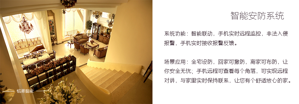 聯排安防